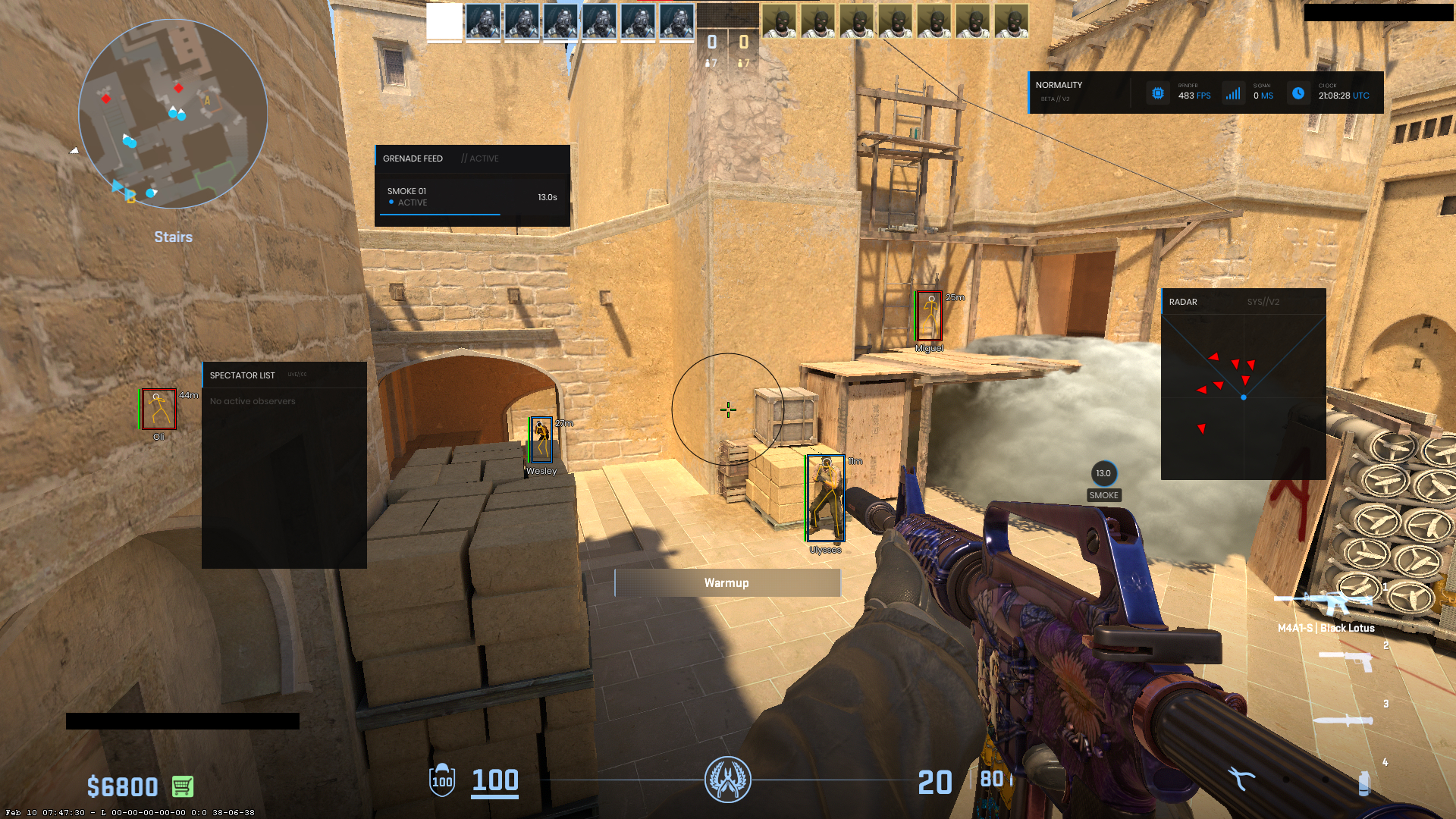 CS2 fullscreen in-game preview